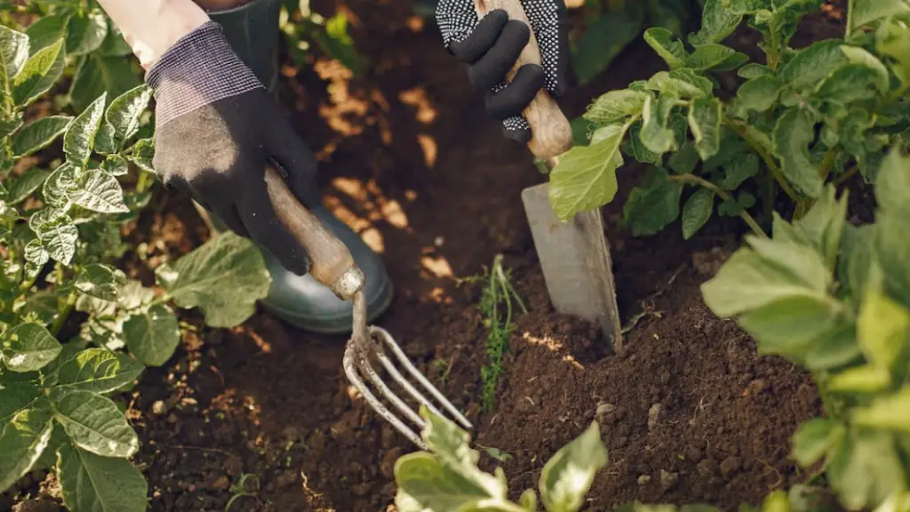 How to Improve Acidic Soil in Your Garden8