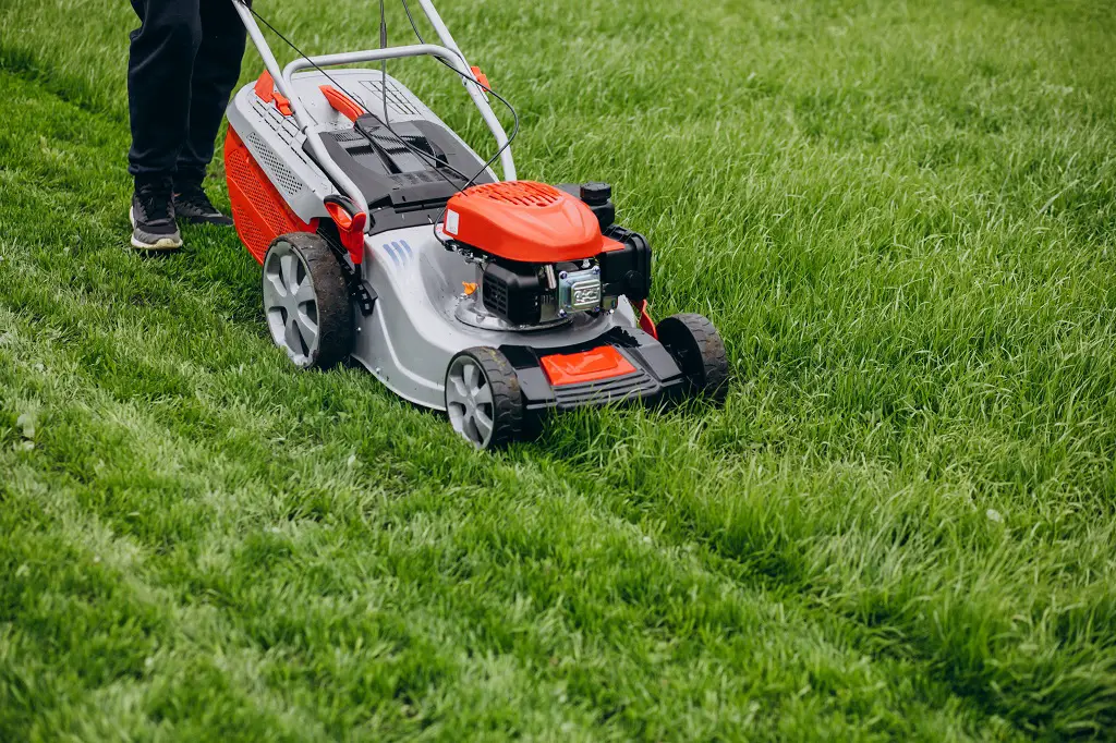 How to Repair and Improve Your Lawn