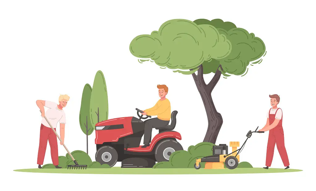 How to Repair and Improve Your Lawn