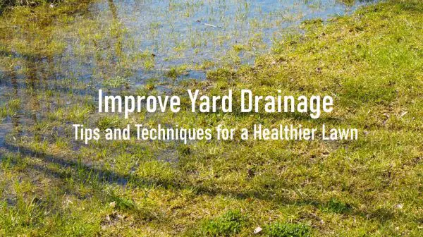 Improve Yard Drainage: Tips and Techniques for a Healthier Lawn