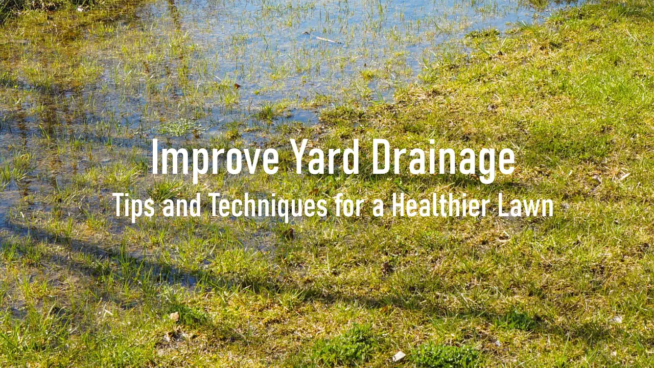 Improve Yard Drainage