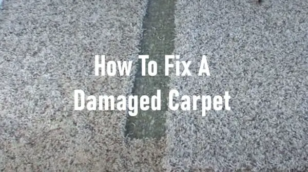 How to Fix a Damaged Carpet: A Guide for Patching Carpet