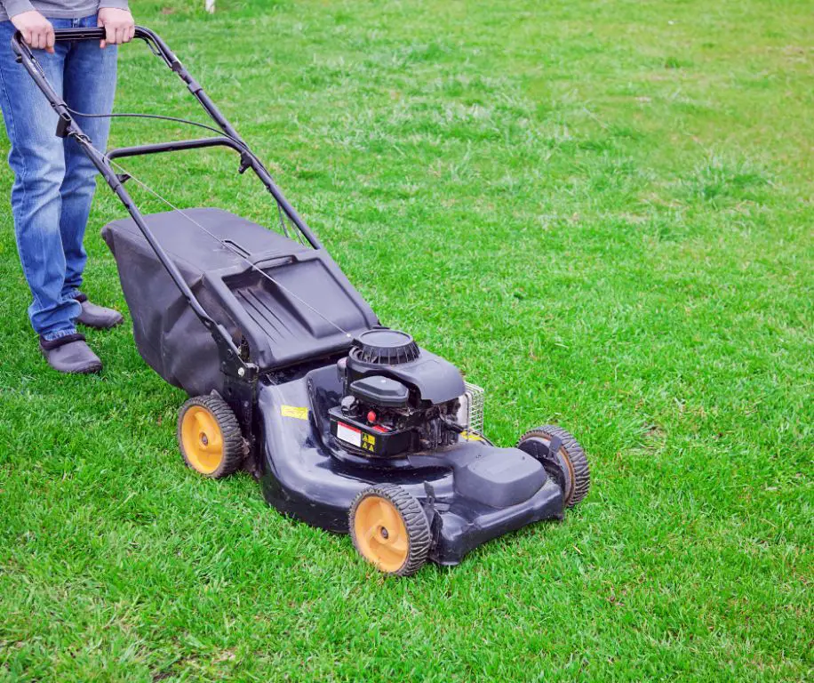 How long should you wait before mowing new sod