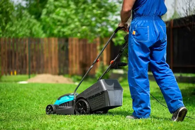 Are electric reel mowers good