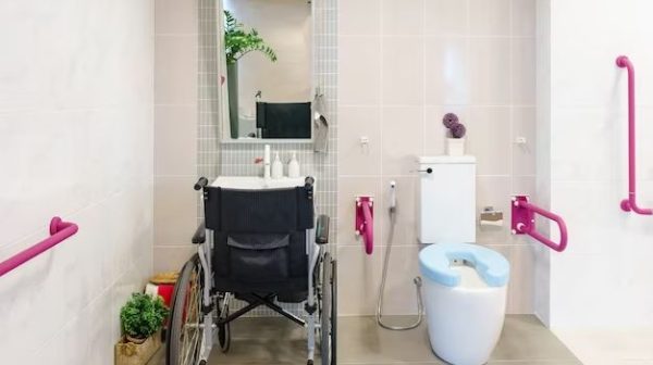 What is the best disabled toilet?