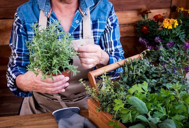 What to buy someone who enjoys gardening