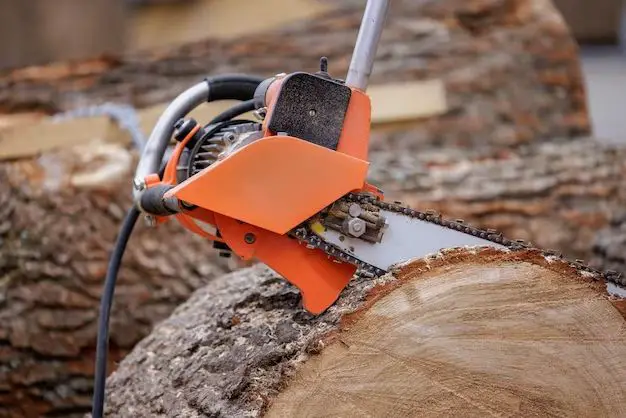 What can mini chainsaws cut