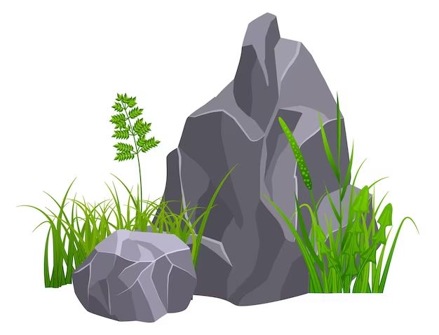 What is the best rock to replace grass