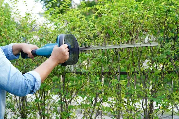 What is the best electric pruning saw