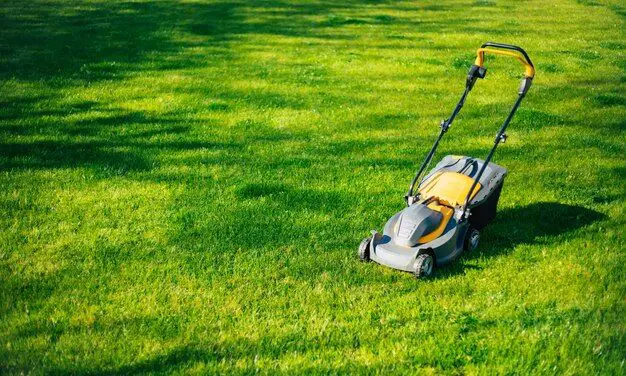 How wide are stand-on mowers