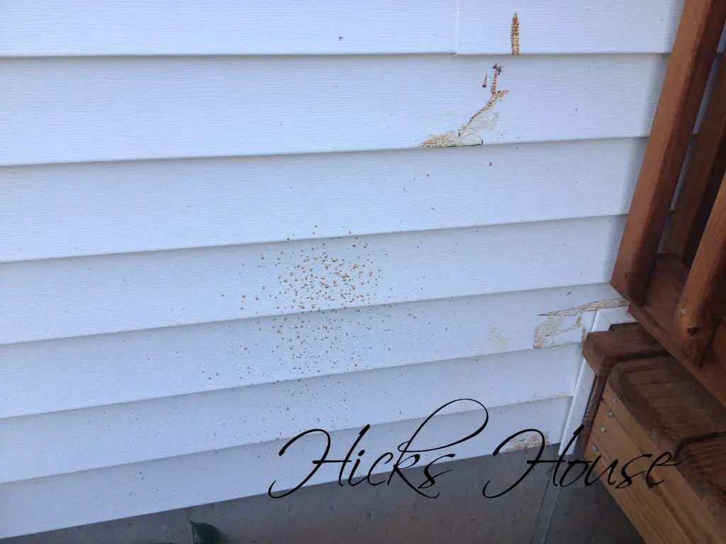 Will mineral spirits remove stain from vinyl siding