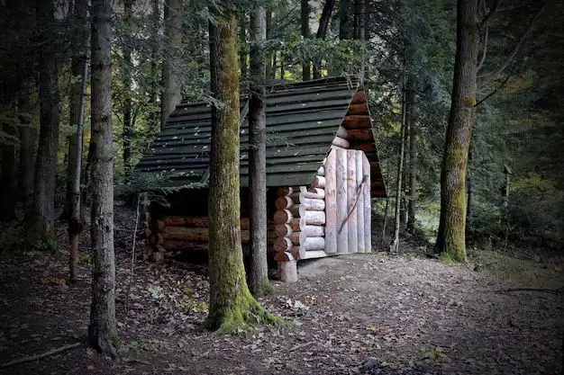 How do you build a long term shelter in the woods