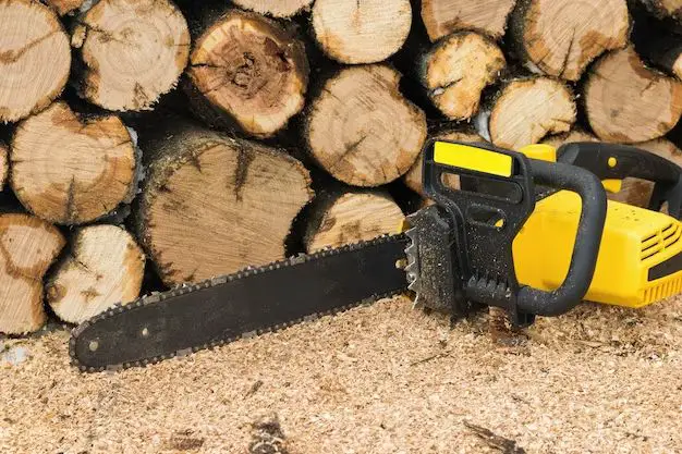 Which is better an electric or gas chainsaw