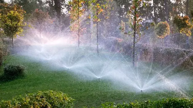 How do you make a self watering system for trees