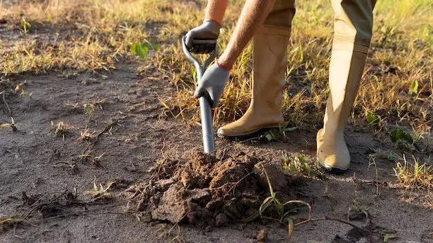 What is the easiest way to dig a hole to plant a tree