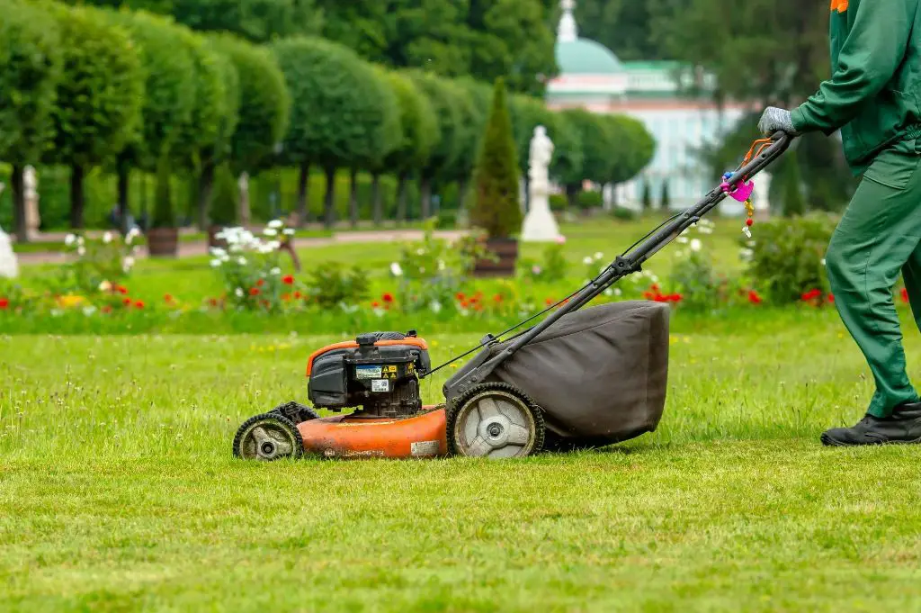 What is the difference between a self-propelled lawn mower and a push mower