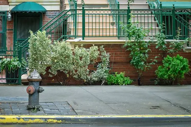 How to make a walkway to front door