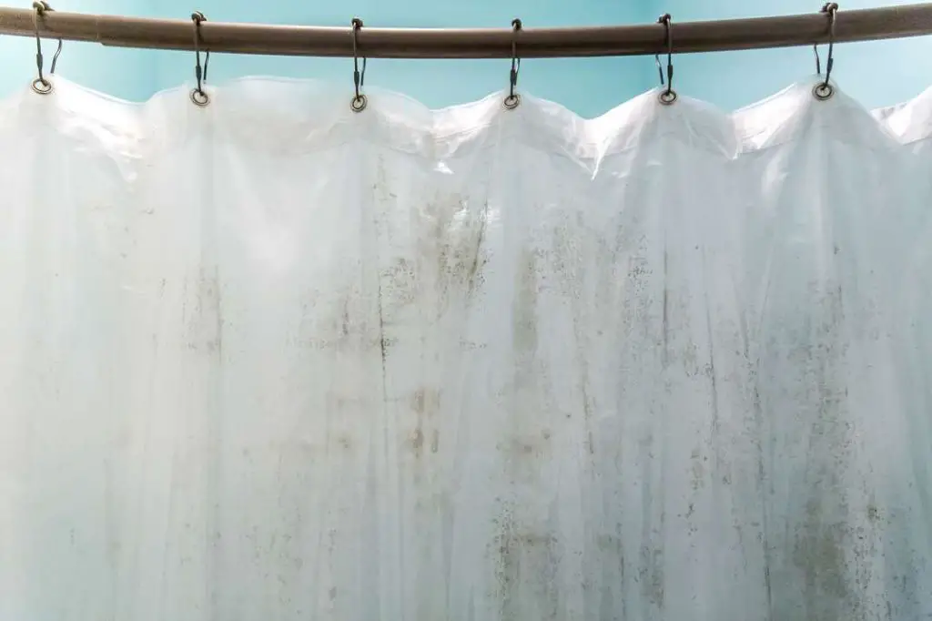 Can you wash mold out of shower curtain