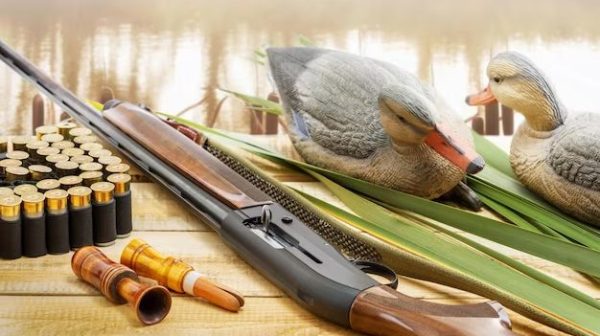 What kind of wood do you use for duck decoys?