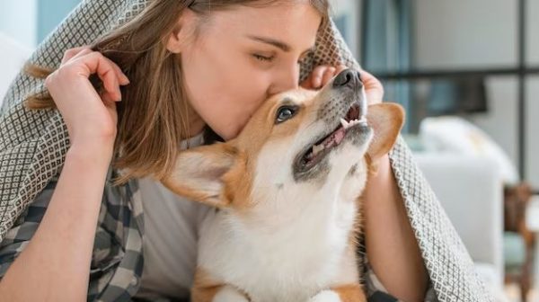 How do you get rid of dog smell?