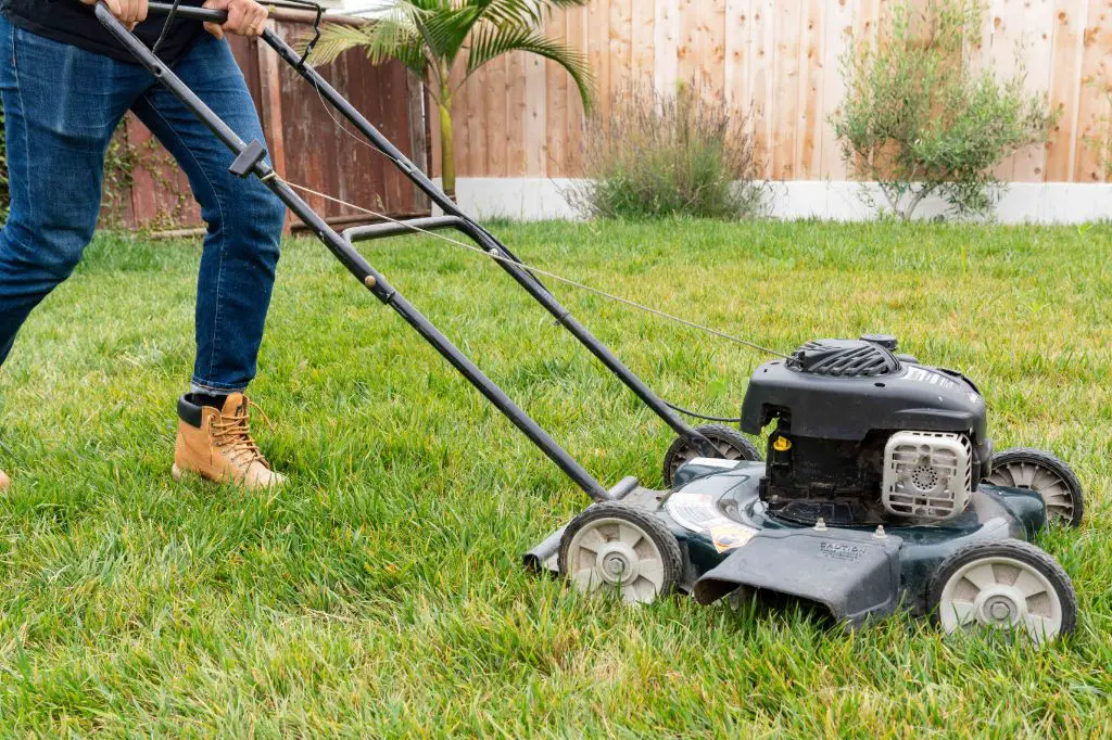 Do you use 4-cycle oil in a lawn mower