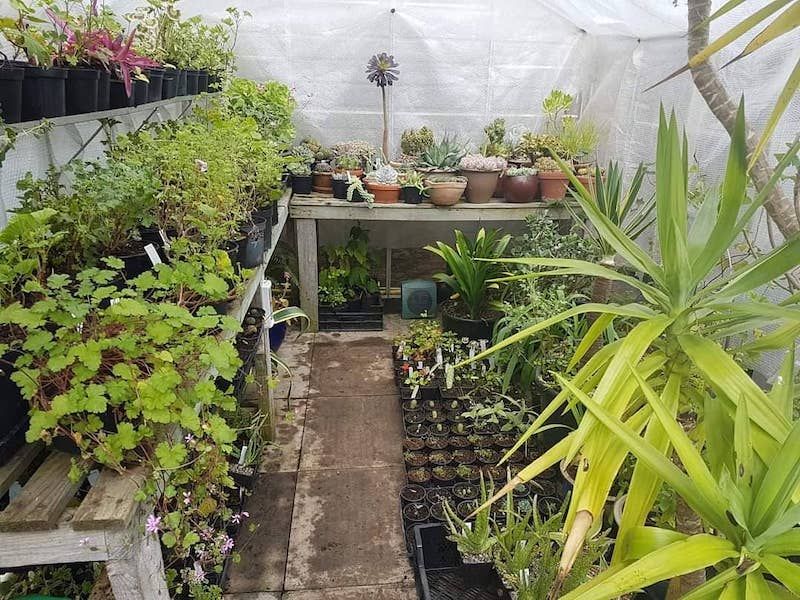 What is the cheapest way to heat a greenhouse