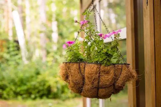 What do you put in the bottom of hanging baskets