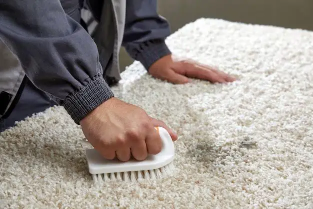 What removes marker from carpet