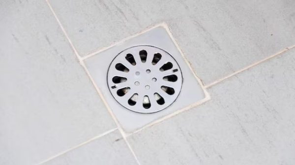 What is a shower drain supposed to look like?