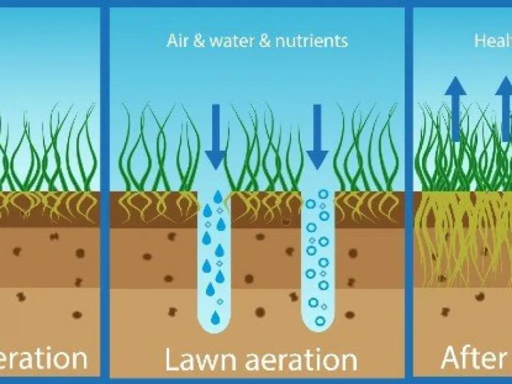 Does liquid aerator actually work