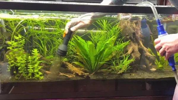 Is sand hard to clean in an aquarium?