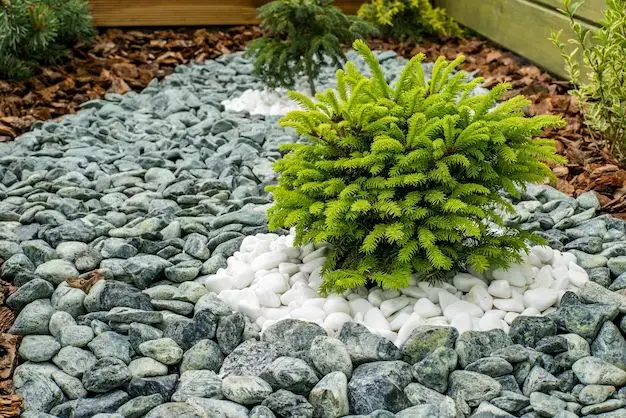 How do I make a rock garden in my front yard