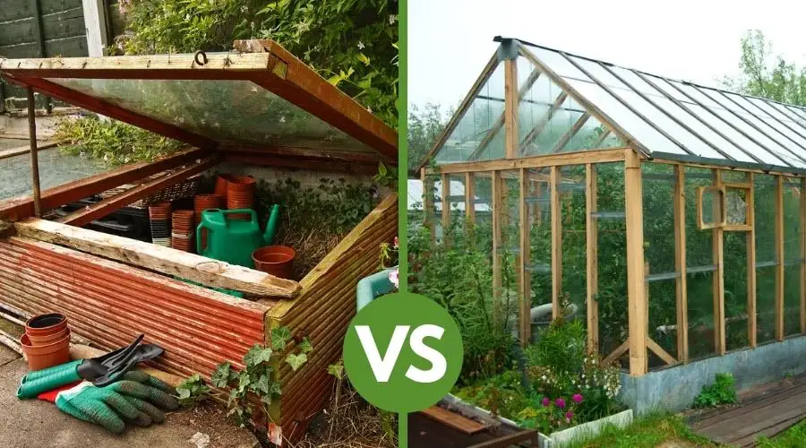 What is the difference between a cold frame and a mini greenhouse