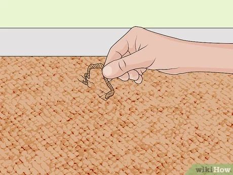 How do you fix carpet snags