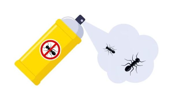 Is ant Out spray safe for pets?