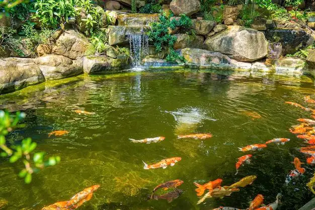 How do you build a fish pond with a waterfall