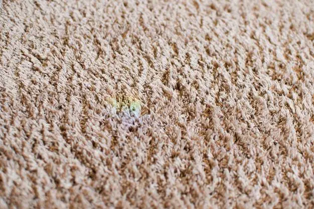 Do stains come out of wool carpet