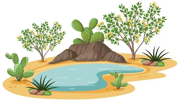 What can I plant in a dry river bed