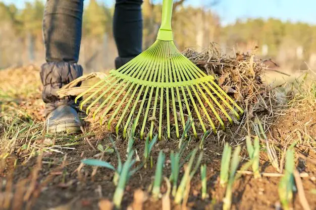 Why should a rake be kept facing down