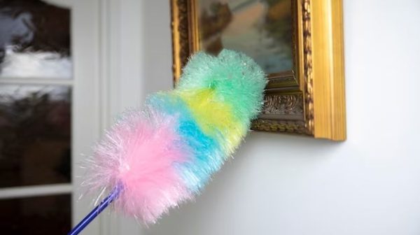 Are you supposed to clean a feather duster?