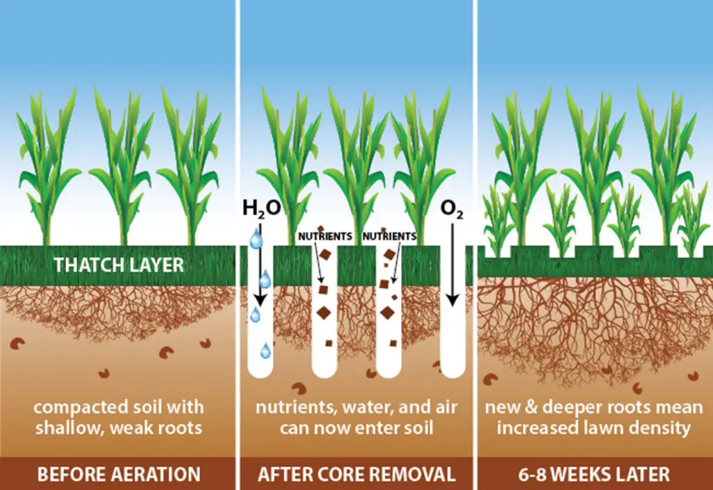 Is a liquid aerator better than aerator