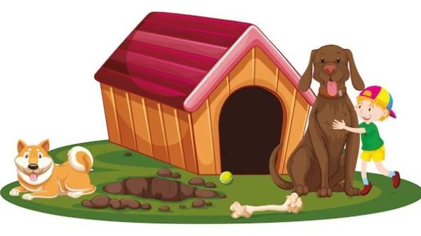 How big should a dog house be for 2 dogs?