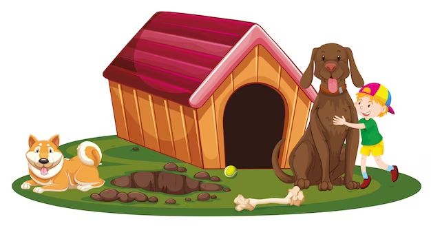 How big should a dog house be for 2 dogs