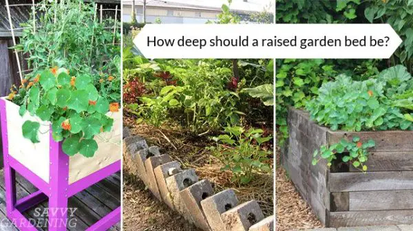 How deep should a raised flower bed be?