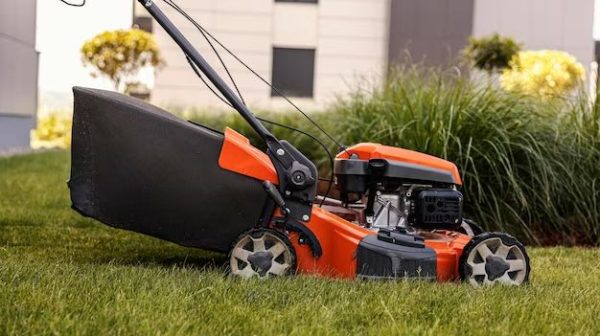 What is the best electric lawn edger?