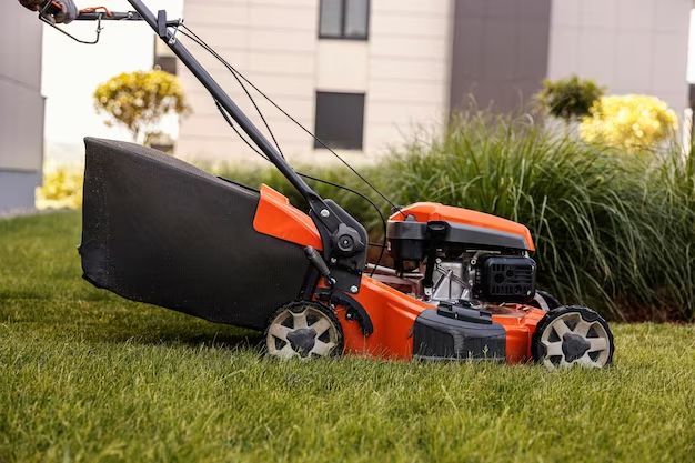 What is the best electric lawn edger