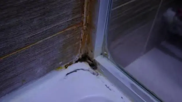 Is it normal to have mold on bathroom ceiling