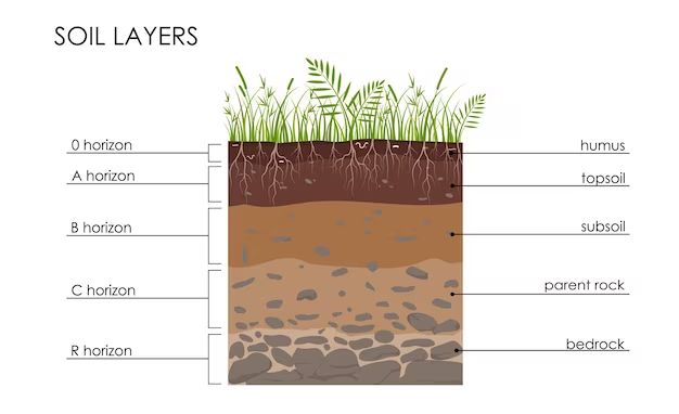 Can topsoil be used as garden soil