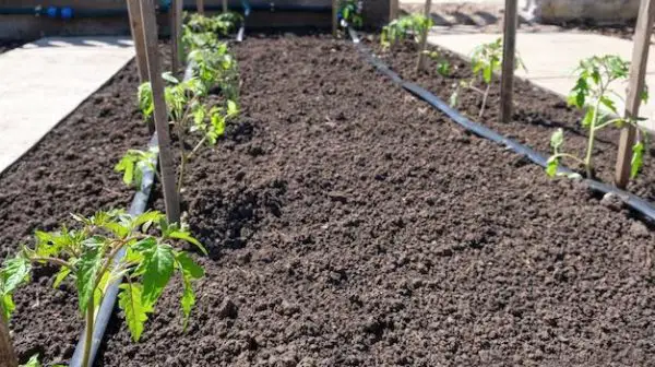 How do you automatically water a raised garden bed?