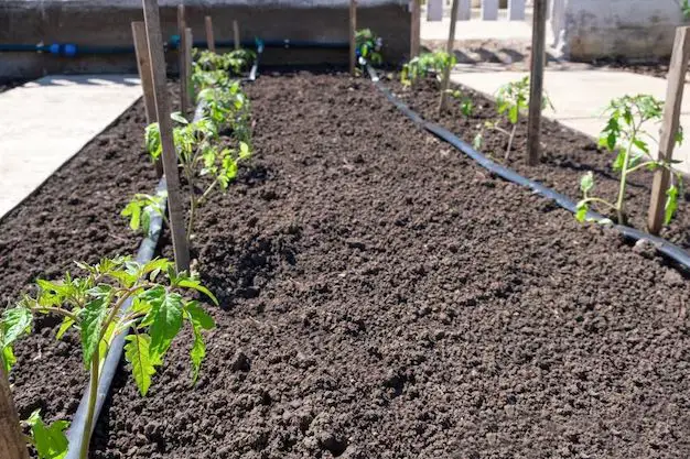 How do you automatically water a raised garden bed